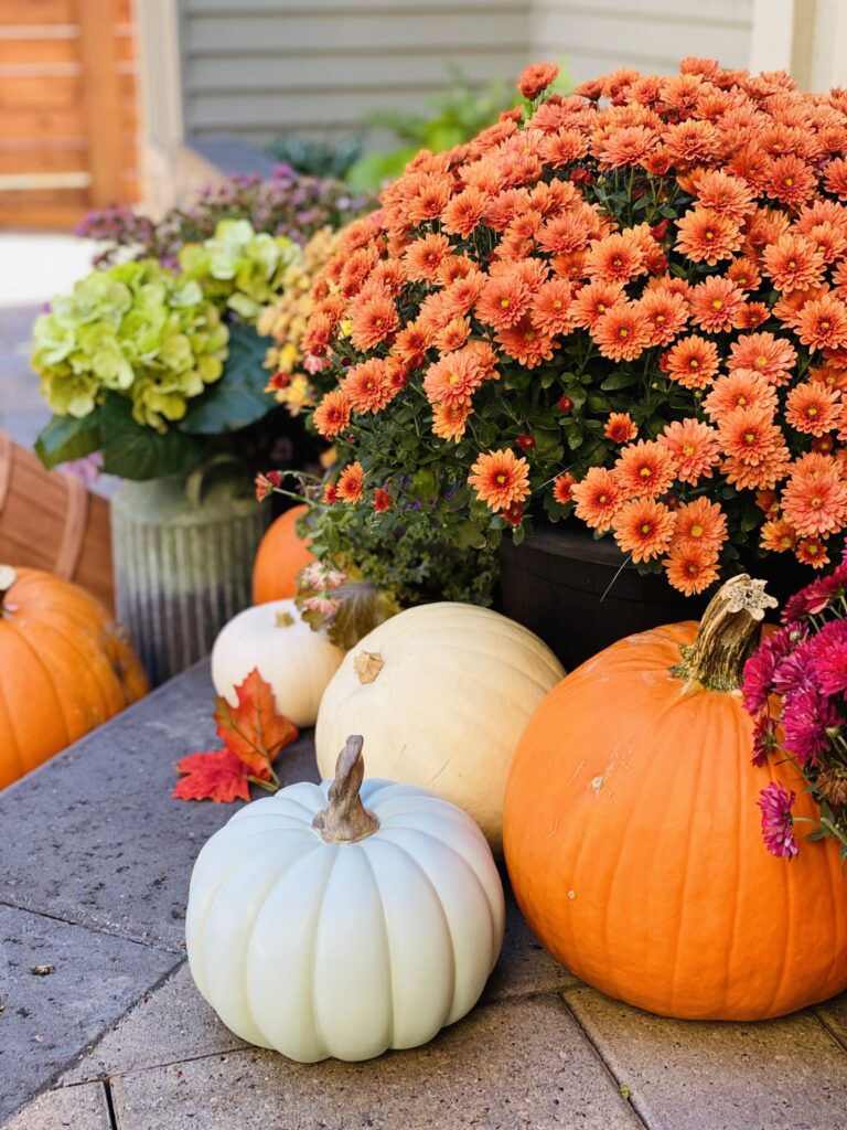 Fall Decor Inspiration