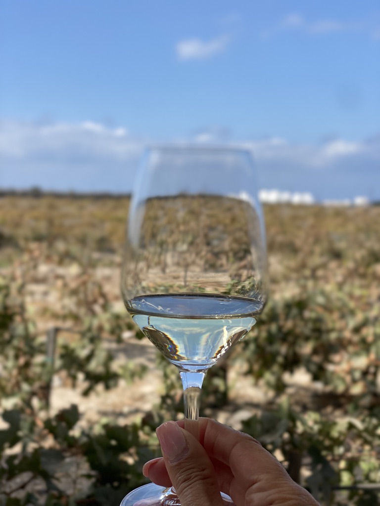 Domaine sigalas winery in greece