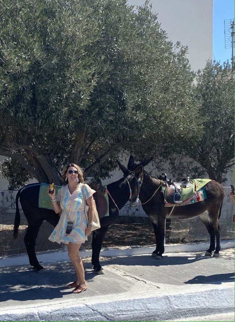 donkeys in Pyrgos